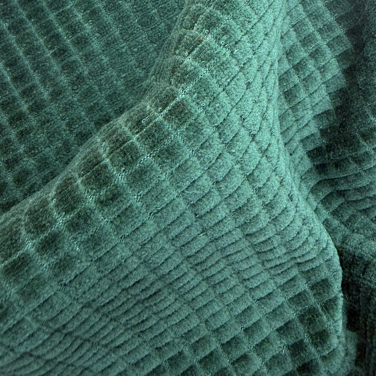 PLUSH CUADRILLE
