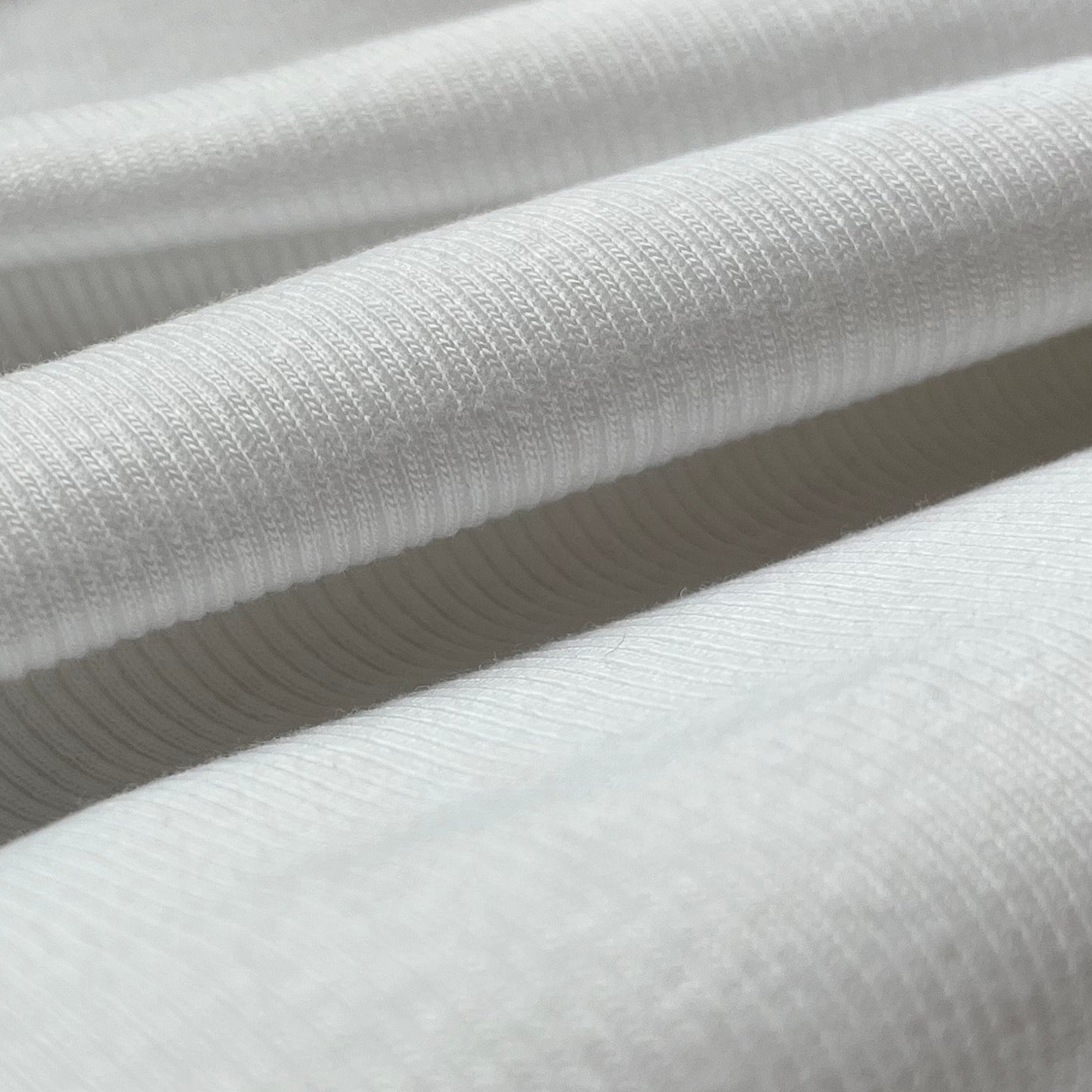 MORLEY ALG/POL C/ELAST-2